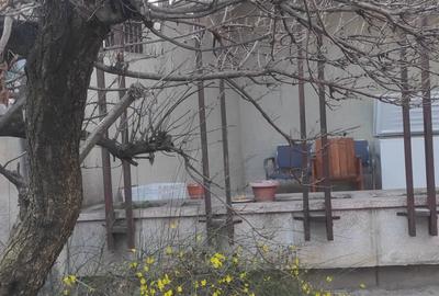 Proprietar vand casa zona Balcescu - Zanoni - 2