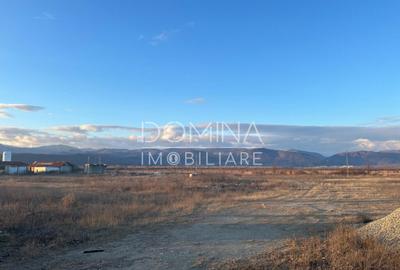 Hala si teren 2,5 ha - infrastructura industriala - 5