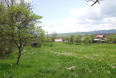 Casă cu 4 camere cu Teren 4977 Mp în Nord-Vest - 3