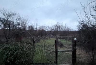 Casă cu 3 camere cu Teren 2 Mp în Gălăteni - 7