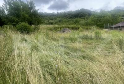 Teren de 1514 mp, în Ștefan cel Mare - 3