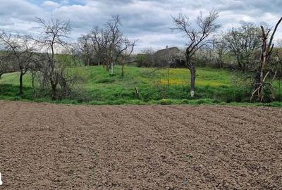Casă cu 3 camere cu Teren 75 Mp în Central - 3