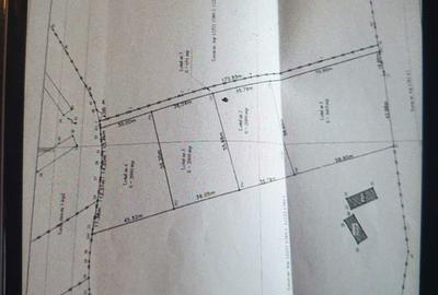 Spațiu comercial, în Sohodol - 4