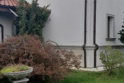 Domeniu  in Prahova- probabil una dintre cele mai frumoase reședințe - 34