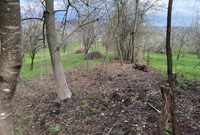 Breaza - str.Plaiului, Coasta Berzei nr.54, teren 1400 mp - 8