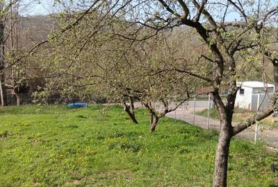 Casă cu Teren 1100 Mp în Ulmetu - 8