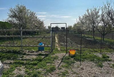 Casă cu 2 camere cu Teren 1500 Mp în Oar - 1