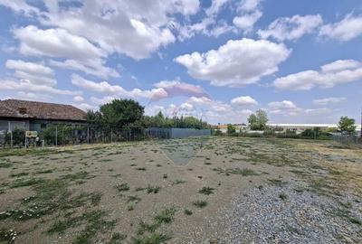 Teren logistic 907 mp de inchiriat/ Aurel Vlaicu - 6