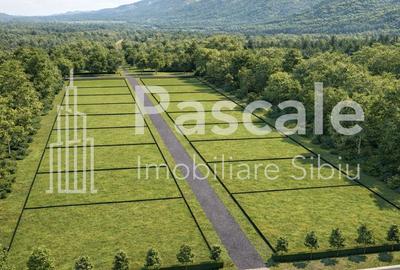 Spațiu comercial, în Central - 1