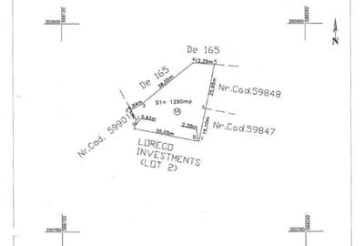 Teren de vis în Dumbrava Vlăsiei – 1290 mp, la marginea pădurii mature - 8
