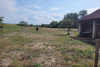 Casă în Topa de Criș - 3