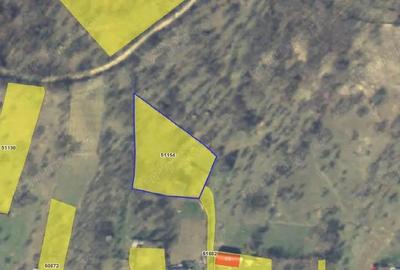 Teren faneata Vizantea Livezi , ID: R2800612 - 3