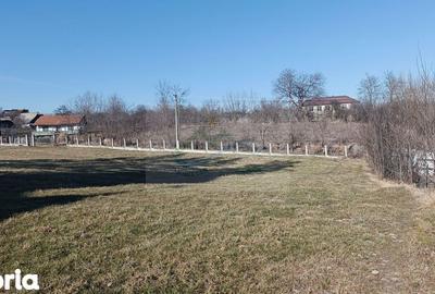 Teren de 4700 mp, în Brusturi - 7