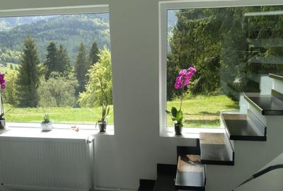 Casă cu 2 camere în Piatra - 3