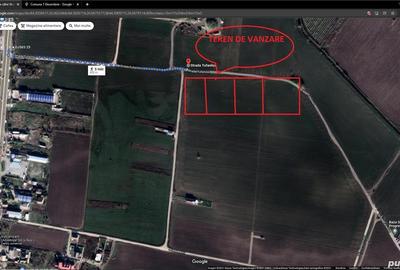 Teren de 2490 mp, în 1 Decembrie - 6