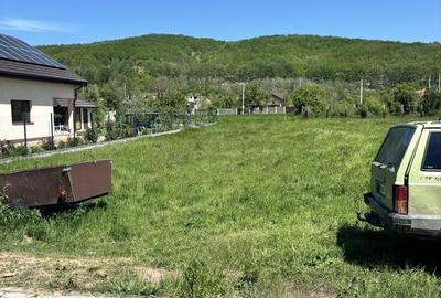 Spațiu comercial, în Balotești - 4