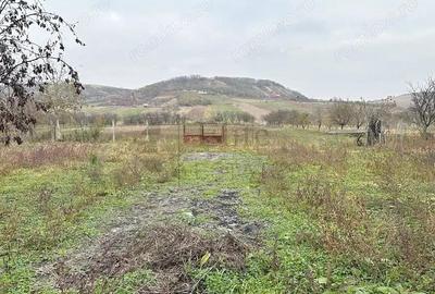 Casa cu 3 Hale si teren 8000 mp in Ulileacu de Cris, Bihor Casa cu 3 Hale si teren 8000 mp in Ulileacu de Cris, Bihor - 12