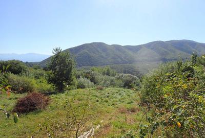 Spațiu comercial, în Cisnădioara - 6