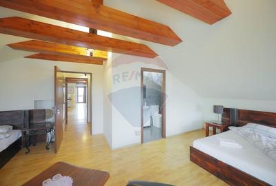 Hotel/Pensiune, de 438 mp, în Nufărul - 44