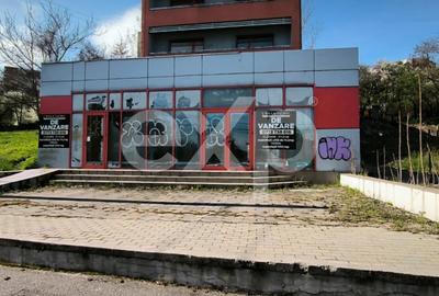 Spațiu comercial, de 742 mp, în Frații Golești - 1