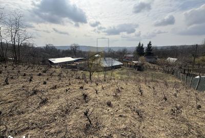 Casă cu 2 camere cu Teren 1191 Mp în Canta - 7