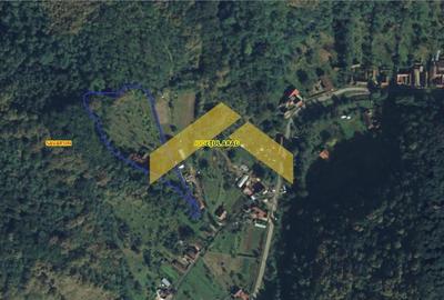 Casă individuală cu 6 camere în Săvârșin - 8