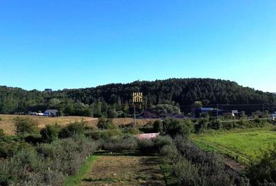 Teren 1594 mp intravilan - Suceava - Scheia! - 3