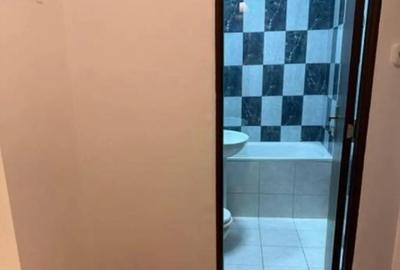 Garsonieră în Giurgiului - 5