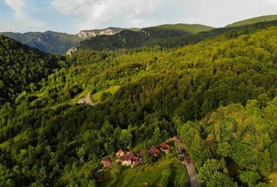 4 cabane din lemn, zona BOGA. - 3