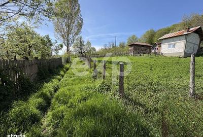 Spațiu comercial, în Bârseștii de Sus - 3