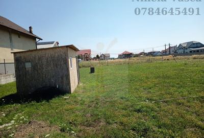 OFERTA!! TEREN INTRAVILAN ANINOASA-DAMBOVITA - 4