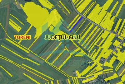 Exclusivitate! De vanzare teren extravilan in Tureni! - 4