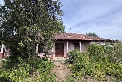 Casă cu 4 camere în Copaciu - 5