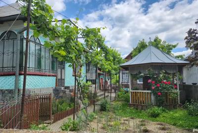 Vand 2 case + terenuri 9712mp in Barbule?u, Dambovi?a - 1