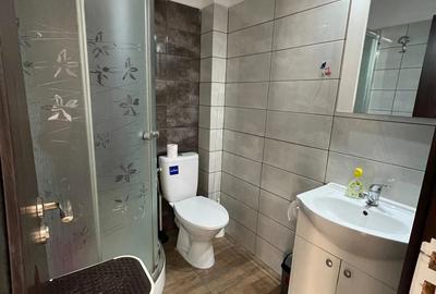 Apartament de inchiriat - 2 camere - Piata Nicolina - 8