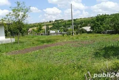 Casă cu 4 camere cu Teren 6200 Mp în Central - 7