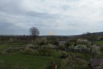 Teren de 5800 mp, în Mitocași - 10