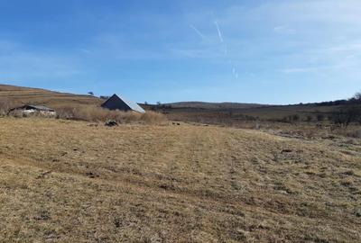 Teren de 8400 mp, în Vălișoara - 1