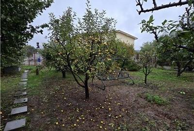 Casa Superba, Teren 1000mp, Utilata si Mobilata de Lux, Valul lui Traian - 17