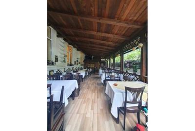 REV2002439 Vila Cismigiu pretabila restaurant - 4