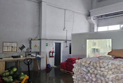 Hala 300 mp + teren 750 mp Popesti Leordeni - 5