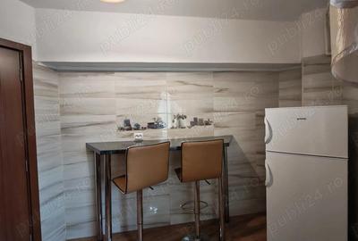 Spre inchiriere garsoniera confort 1 lex , prim chirias , etaj 1 ,catedrala - 4