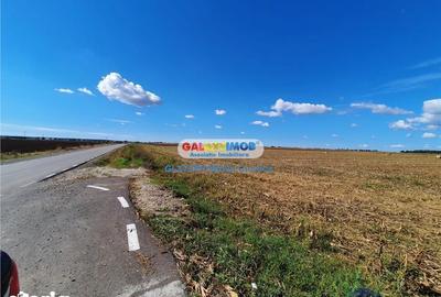 Teren de 250000 mp, în Păulești - 1