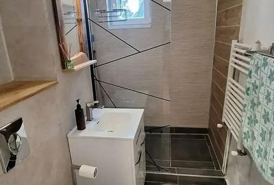 Apartament 2 camere, str. Lugojului, cu centrala proprie - 6