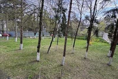 Garsonieră în Mărăști - 7