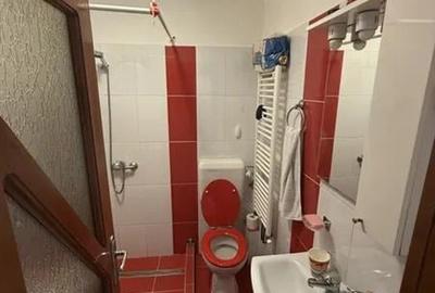 Apartament cu 1 camera zona Buziasului - 8