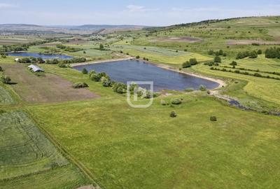 Teren Construcții intravilan de 16000 mp, în Costâna - 2