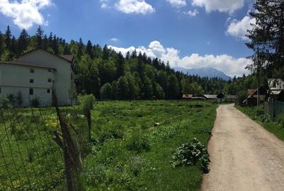 Oportunitate - 6390 mp intravilan Predeal - ideal proiect A Frame - 1