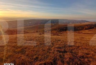 Teren de 8600 mp, în Ciurila - 1