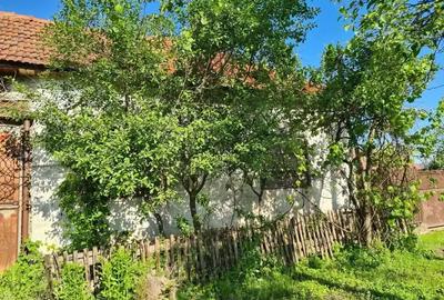 Vand casa in jude?ul Arad - 2